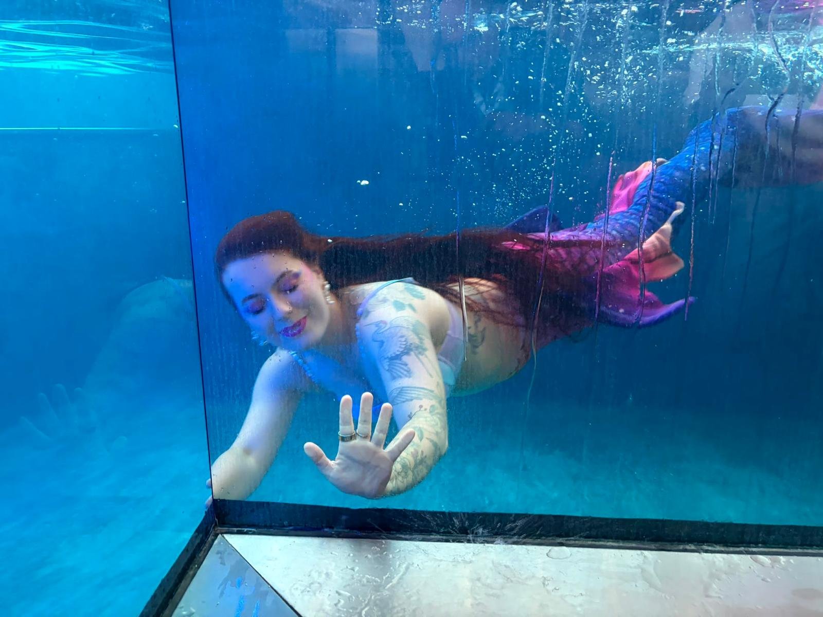 Vue depuis le salon immergé de Secret Paradise : une nageuse en queue de sirène passe derrière la paroi transparente, sous le niveau de l'eau