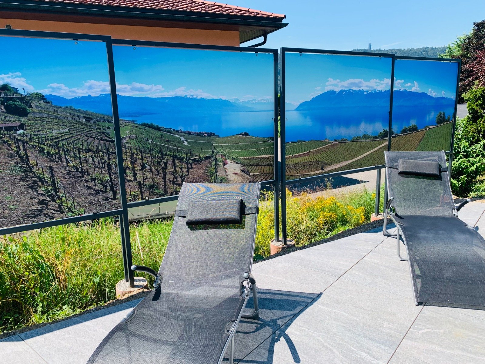 Transats sur la terrasse de Secret Paradise devant un panneau photographique des vignes du Lavaux et du lac Léman